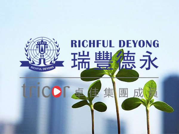 香港公司審計(jì)需要提供的資料