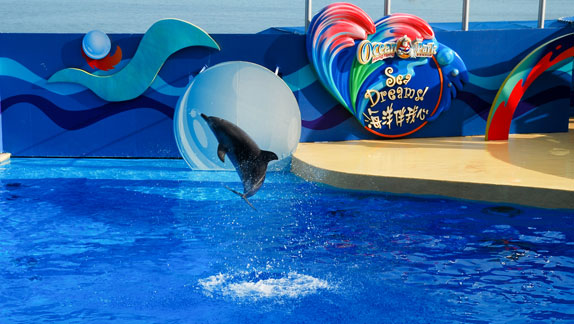 海洋公園